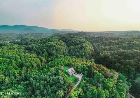 Tiny photo for 0 Long Branch Rd, Seymour, TN 37865 (MLS # 1349934)