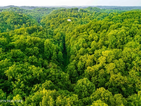 Tiny photo for 0 Long Branch Rd, Seymour, TN 37865 (MLS # 1349934)