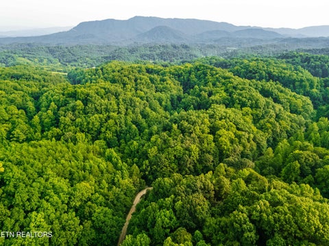 Photo of 0 Long Branch Rd, Seymour, TN 37865 (MLS # 1349934)
