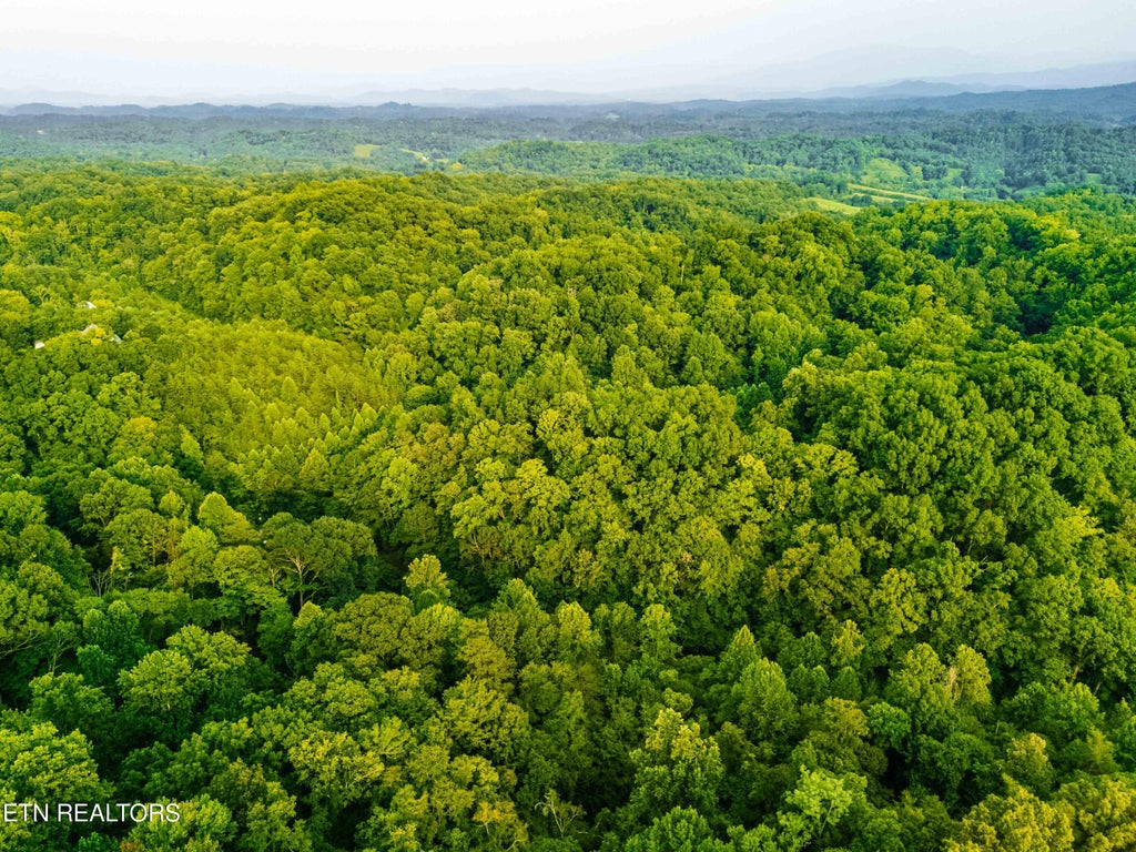 Photo of 0 Long Branch Rd, Seymour, TN 37865 (MLS # 1349934)