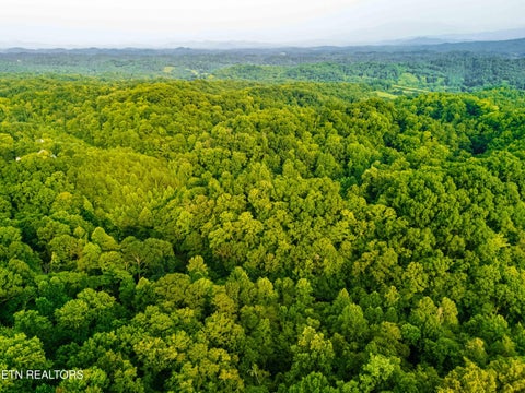 Tiny photo for 0 Long Branch Rd, Seymour, TN 37865 (MLS # 1349934)