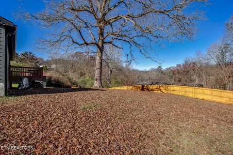 Tiny photo for 151 Monger Rd Rd, Rockwood, TN 37854 (MLS # 1322968)