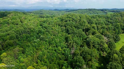 Tiny photo for W Raccoon Valley Drive, Heiskell, TN 37754 (MLS # 1349904)