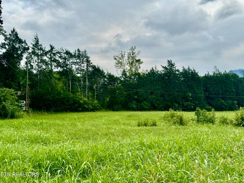 Tiny photo for W Raccoon Valley Drive, Heiskell, TN 37754 (MLS # 1349904)
