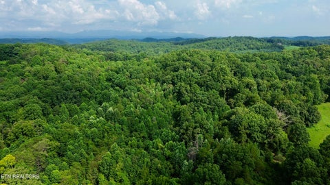 Tiny photo for W Raccoon Valley Drive, Heiskell, TN 37754 (MLS # 1349904)