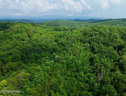 Tiny photo for W Raccoon Valley Drive, Heiskell, TN 37754 (MLS # 1349904)