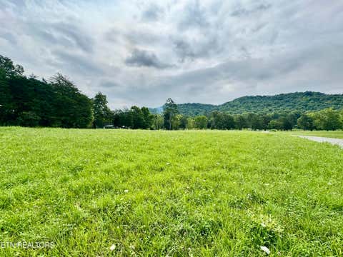 Tiny photo for W Raccoon Valley Drive, Heiskell, TN 37754 (MLS # 1349904)