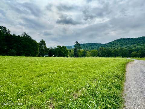Tiny photo for W Raccoon Valley Drive, Heiskell, TN 37754 (MLS # 1349904)