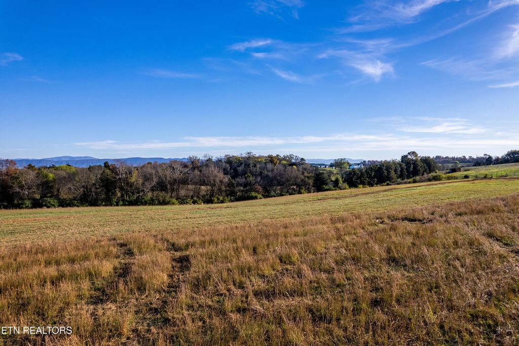 Photo of 367 Meadow Rd, Greenback, TN 37742 (MLS # 1284176)