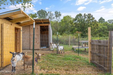 Tiny photo for 640 Camp Ridge Rd, LaFollette, TN 37766 (MLS # 1317041)