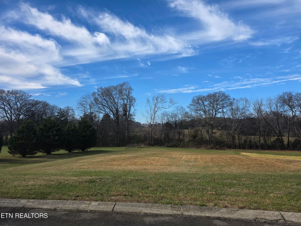 Photo of Old Hickory Circle, Madisonville, TN 37354 (MLS # 1323692)