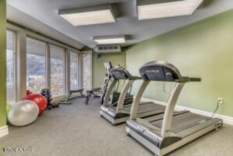 Tiny photo for 215 Woliss Lane Units 209, 312,510 Lane, Gatlinburg, TN 37738 (MLS # 1329306)