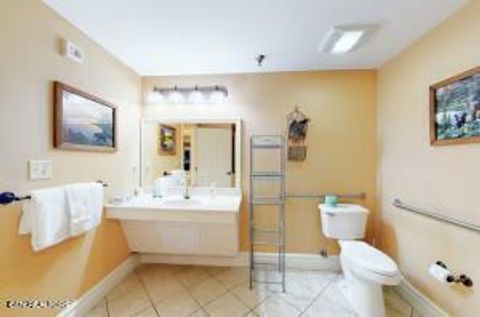 Tiny photo for 215 Woliss Lane Units 209, 312,510 Lane, Gatlinburg, TN 37738 (MLS # 1329306)