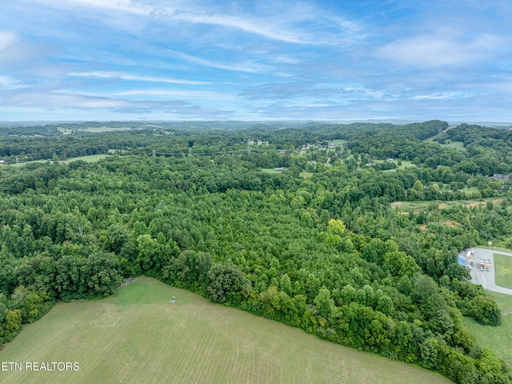 Photo of 2958 W Lamar Alexander Pkwy, Friendsville, TN 37737 (MLS # 1271135)