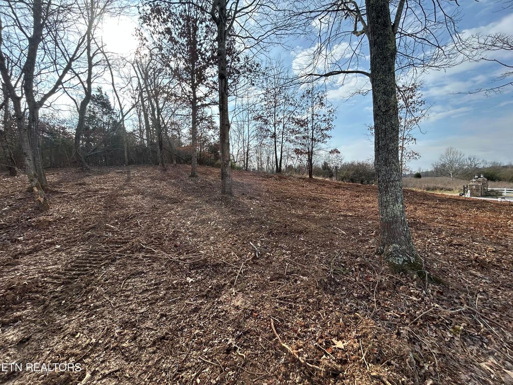 Photo of 232 Star Lane, Rockwood, TN 37854 (MLS # 1319926)
