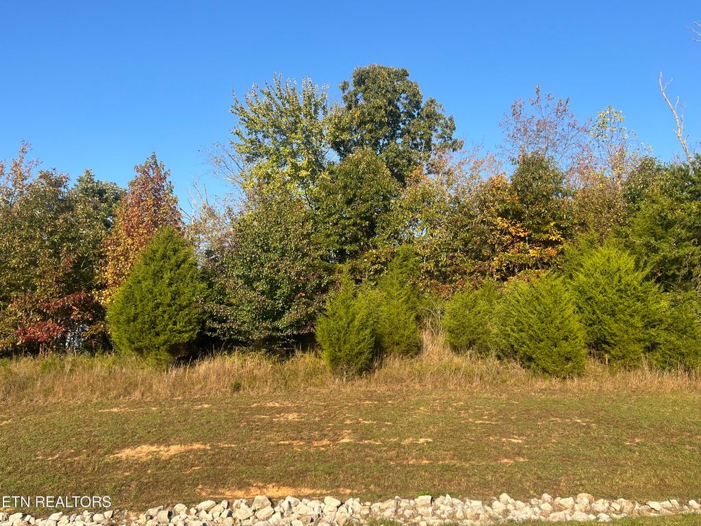 Photo of 232 Star Lane, Rockwood, TN 37854 (MLS # 1319926)