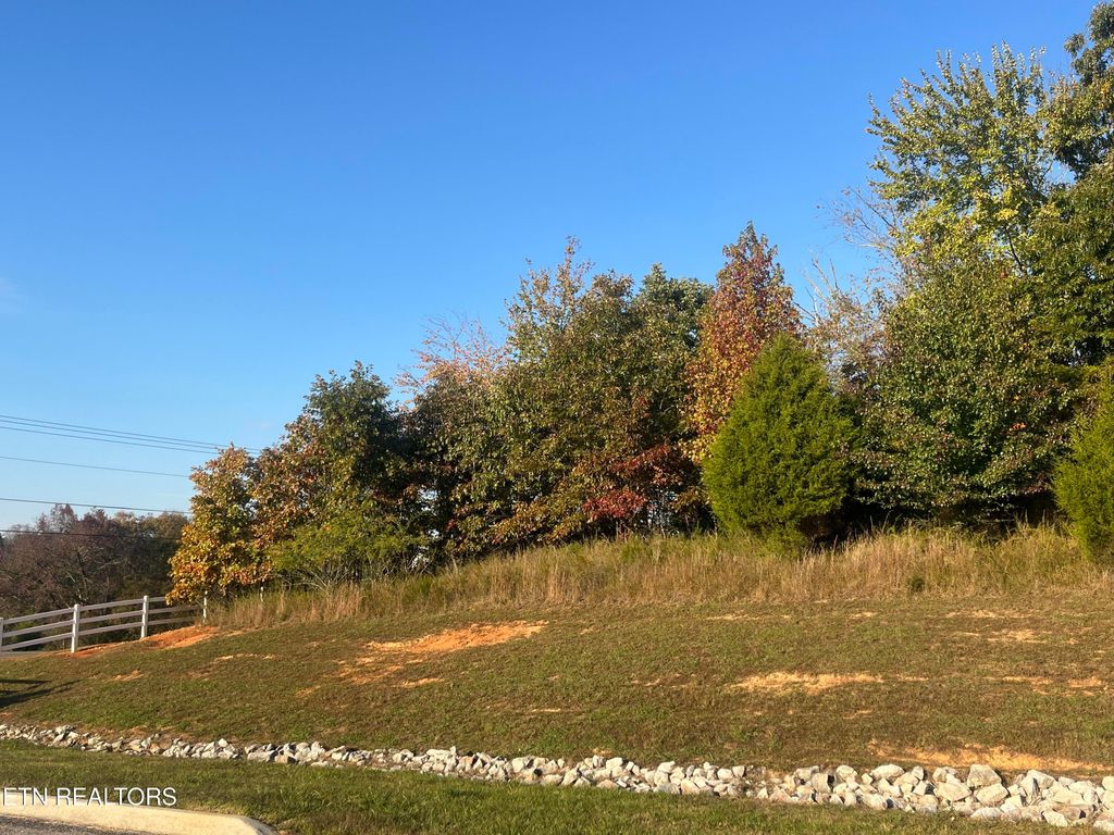 Photo of 232 Star Lane, Rockwood, TN 37854 (MLS # 1319926)