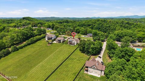 Tiny photo for 12506 Buttermilk Rd, Knoxville, TN 37932 (MLS # 1339927)