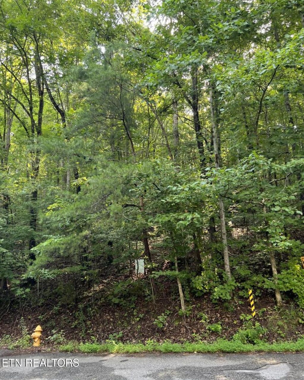Photo of Lot 167 Laurel Lake Circle, Madisonville, TN 37354 (MLS # 1317683)
