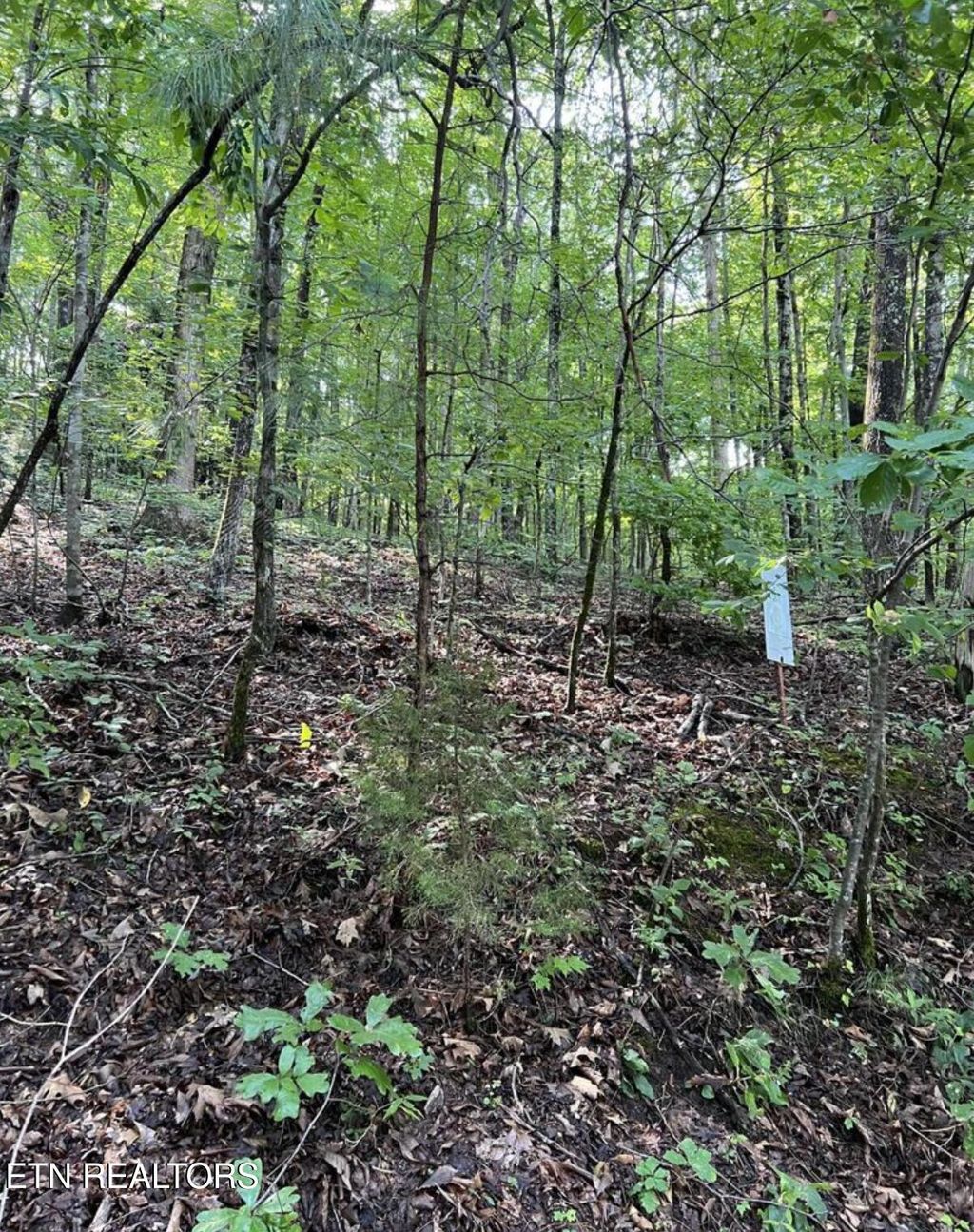 Photo of Lot 167 Laurel Lake Circle, Madisonville, TN 37354 (MLS # 1317683)