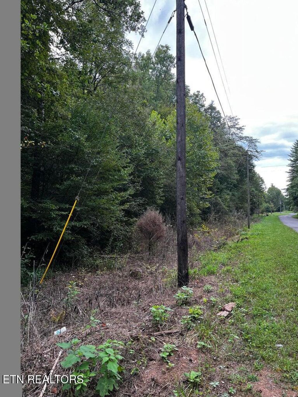 Photo of 000 Three Point Rd Rd, Madisonville, TN 37354 (MLS # 1287945)