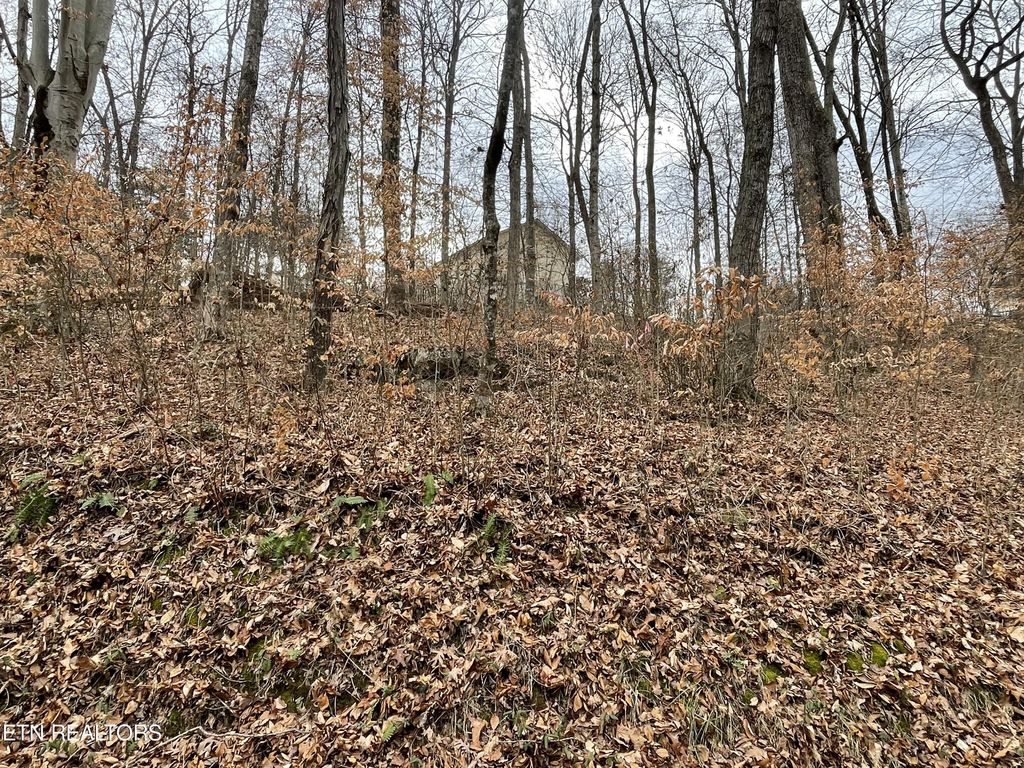Photo of Highpoint Drive, Sevierville, TN 37876 (MLS # 1250528)