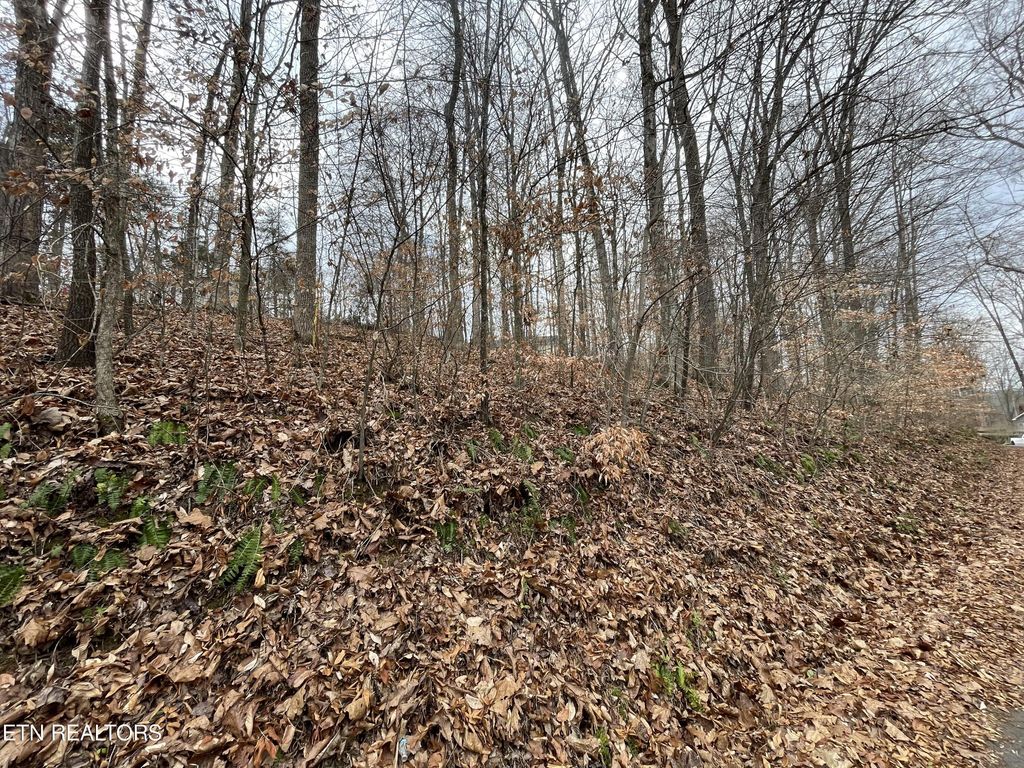 Photo of Highpoint Drive, Sevierville, TN 37876 (MLS # 1250528)