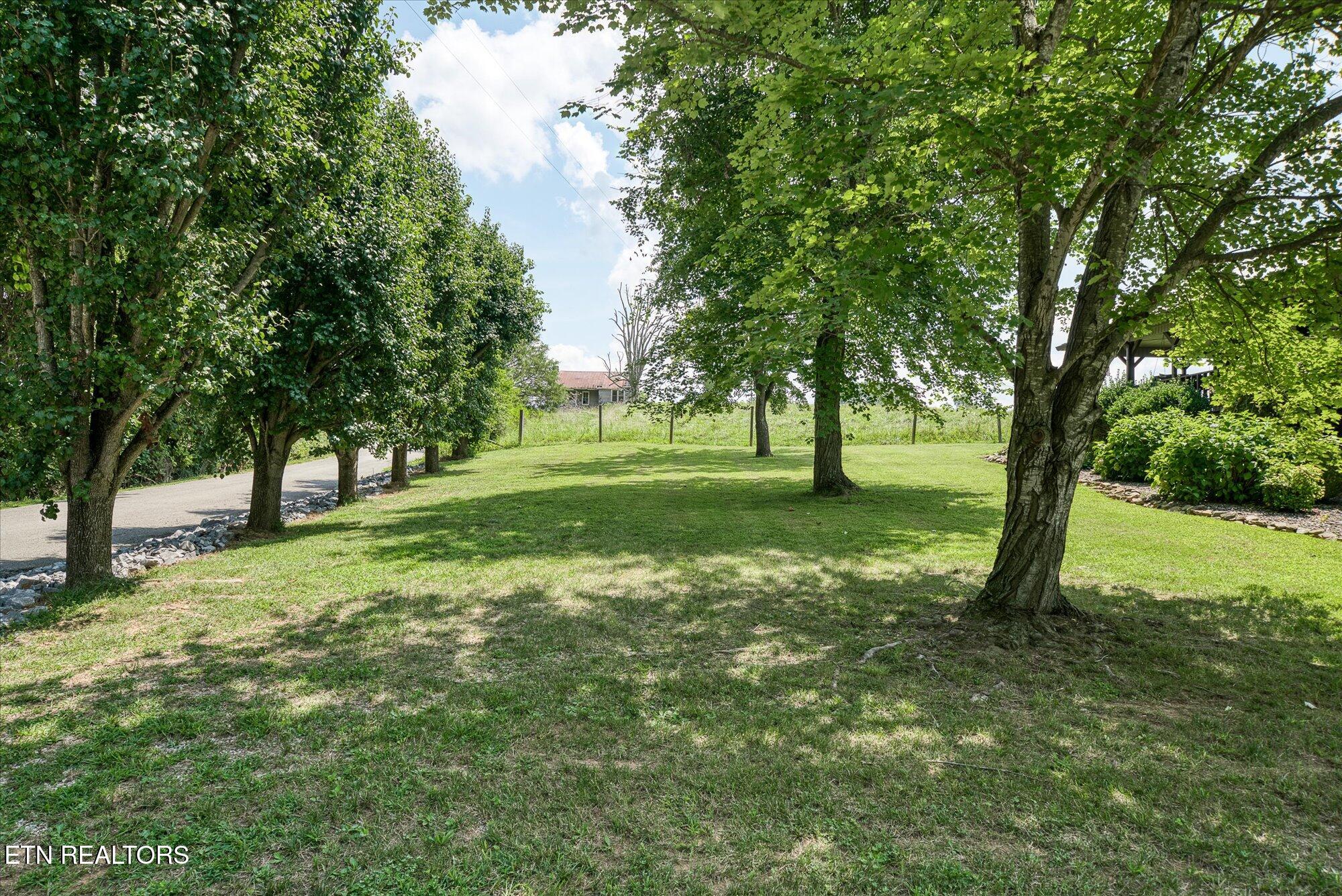 6158 Cherrytree Lane