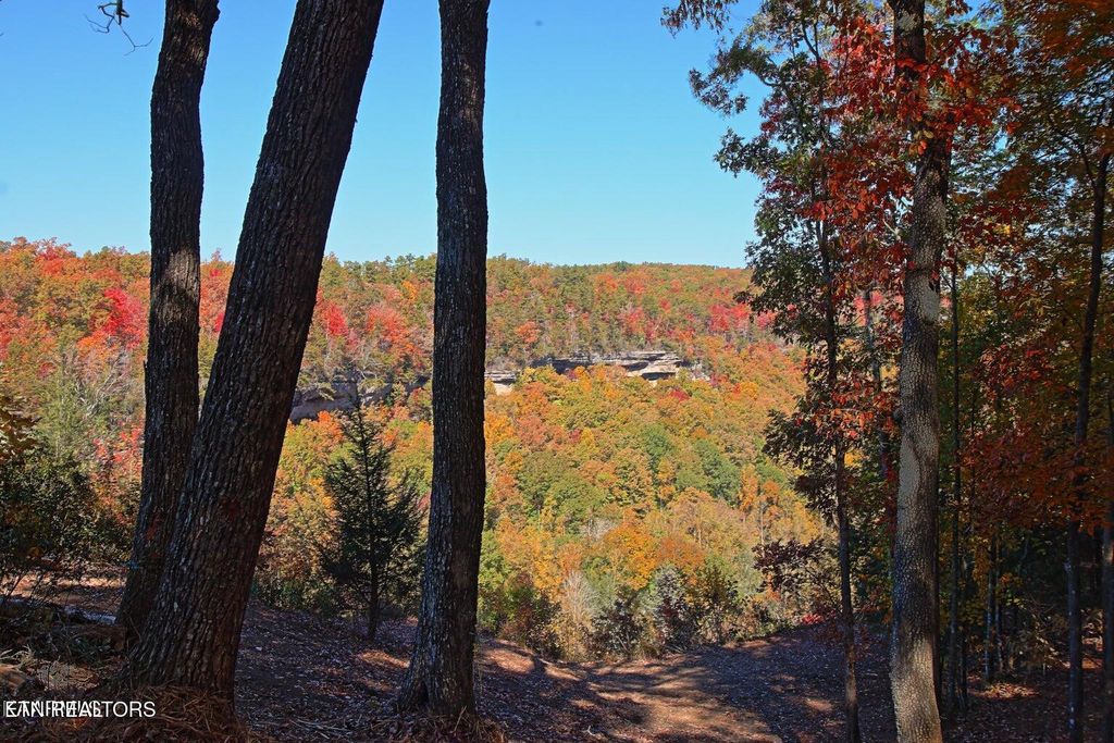 Photo of 17 Emerald Drive, Jamestown, TN 38556 (MLS # 1319684)