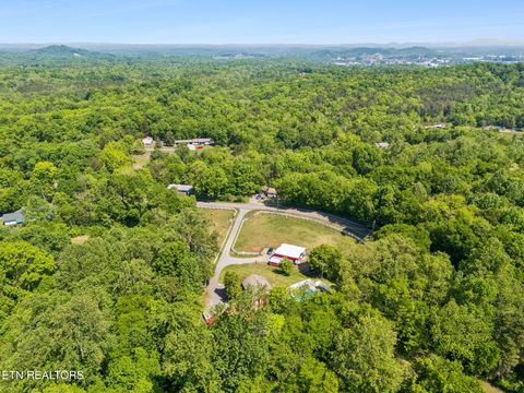 Tiny photo for 6911 Sevierville Pike, Knoxville, TN 37920 (MLS # 1338717)