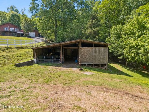 Tiny photo for 6911 Sevierville Pike, Knoxville, TN 37920 (MLS # 1338717)