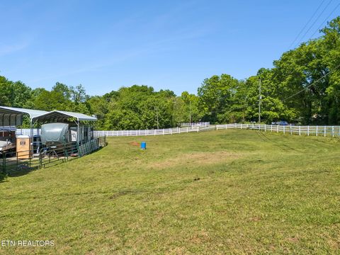 Tiny photo for 6911 Sevierville Pike, Knoxville, TN 37920 (MLS # 1338717)