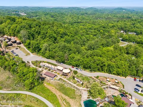 Tiny photo for 6911 Sevierville Pike, Knoxville, TN 37920 (MLS # 1338717)