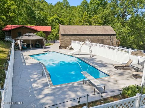 Tiny photo for 6911 Sevierville Pike, Knoxville, TN 37920 (MLS # 1338717)