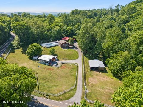 Tiny photo for 6911 Sevierville Pike, Knoxville, TN 37920 (MLS # 1338717)