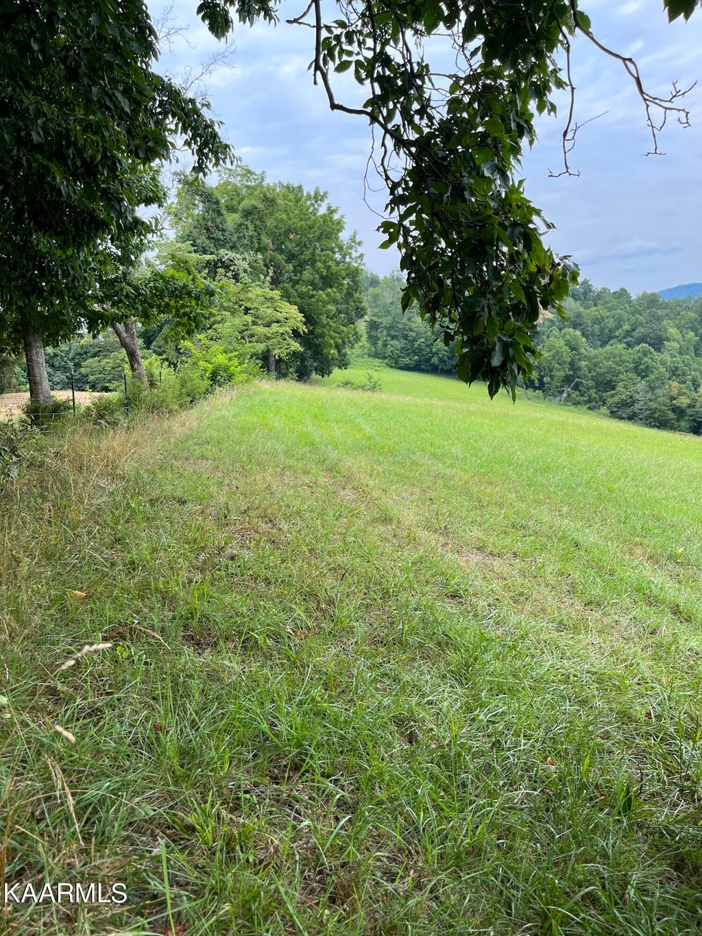 Photo of Little Sycamore Rd, Tazewell, TN 37879 (MLS # 1235257)
