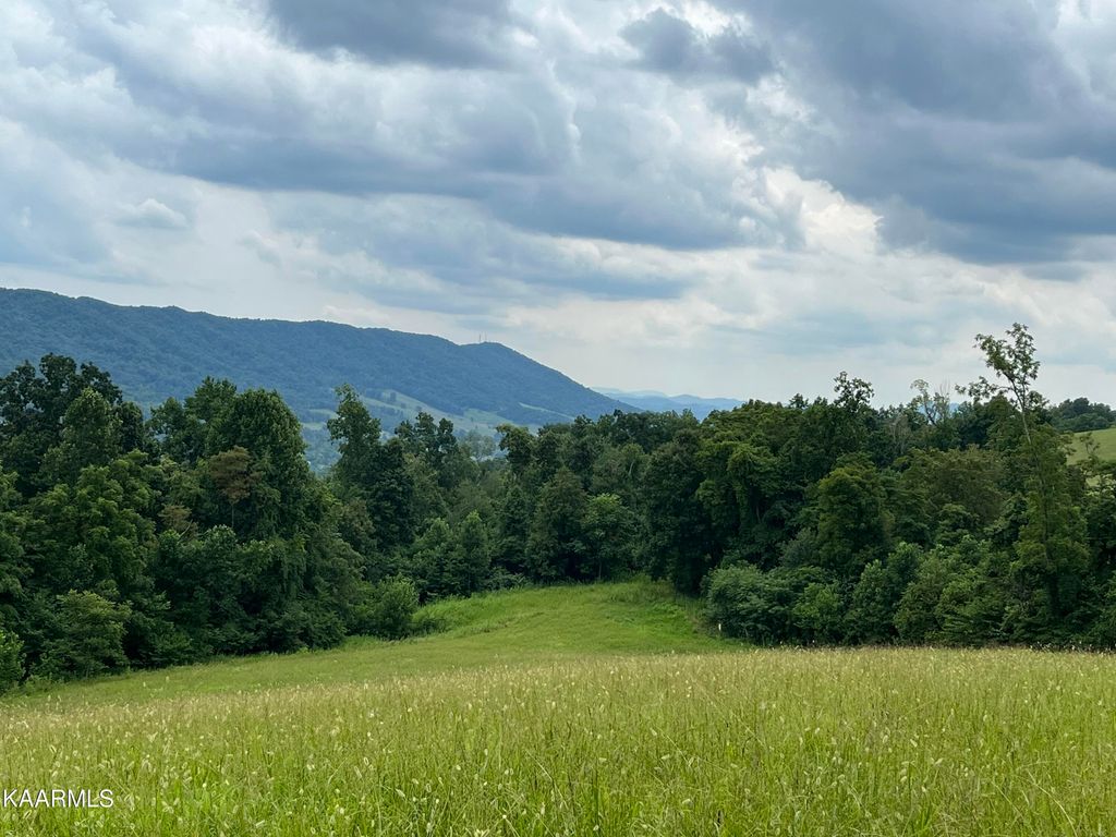 Photo of Little Sycamore Rd, Tazewell, TN 37879 (MLS # 1235257)