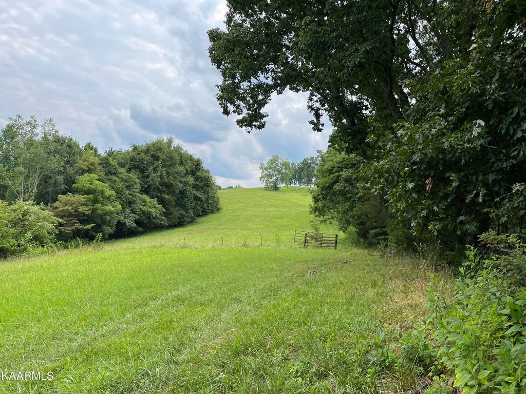 Photo of Little Sycamore Rd, Tazewell, TN 37879 (MLS # 1235257)