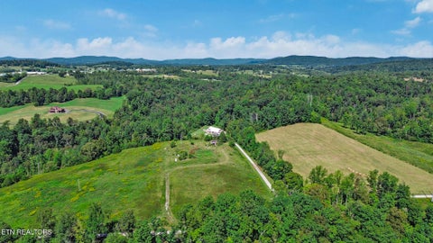 Tiny photo for 2705 Lick Creek Rd, Pall Mall, TN 38577 (MLS # 1355518)