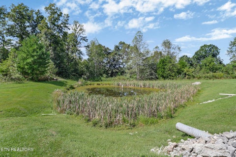 Tiny photo for 2705 Lick Creek Rd, Pall Mall, TN 38577 (MLS # 1355518)