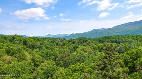 Tiny photo for 1622 Misty Hollow Way, Gatlinburg, TN 37738 (MLS # 1339302)