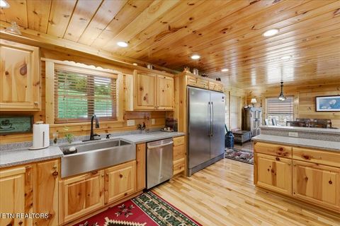 Tiny photo for 2732 Cayanne Rd, Cosby, TN 37722 (MLS # 1339834)