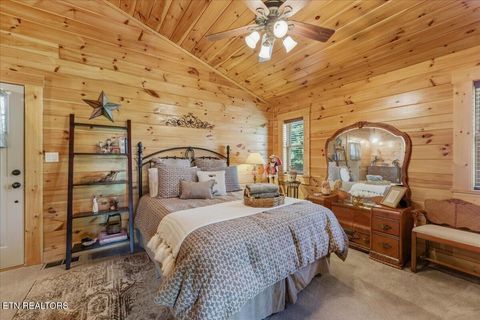 Tiny photo for 2732 Cayanne Rd, Cosby, TN 37722 (MLS # 1339834)