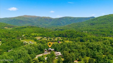 Tiny photo for 2732 Cayanne Rd, Cosby, TN 37722 (MLS # 1339834)