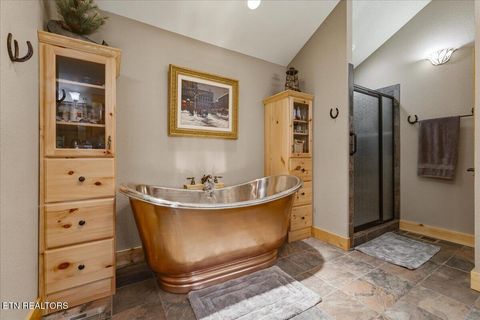 Tiny photo for 2732 Cayanne Rd, Cosby, TN 37722 (MLS # 1339834)