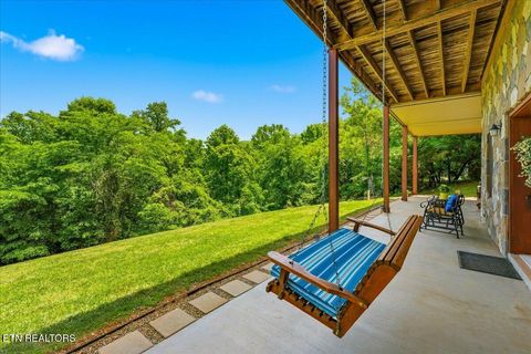 Tiny photo for 2732 Cayanne Rd, Cosby, TN 37722 (MLS # 1339834)