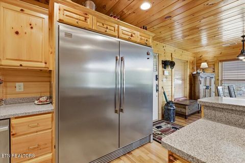 Tiny photo for 2732 Cayanne Rd, Cosby, TN 37722 (MLS # 1339834)