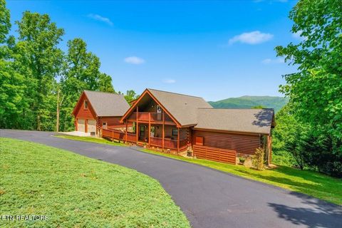 Tiny photo for 2732 Cayanne Rd, Cosby, TN 37722 (MLS # 1339834)