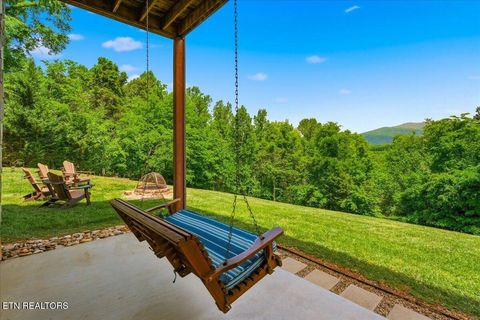 Tiny photo for 2732 Cayanne Rd, Cosby, TN 37722 (MLS # 1339834)