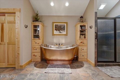 Tiny photo for 2732 Cayanne Rd, Cosby, TN 37722 (MLS # 1339834)